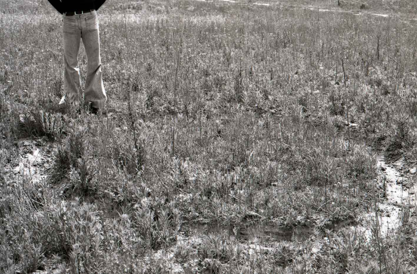 Un circulo vacío y lleno