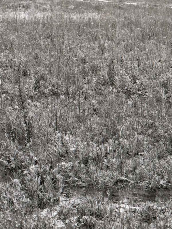 An empty and full circle